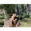 Liška 19 cm – 3D tištěná lištička