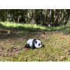 Panda - Mini ZOO