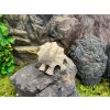 3d-tisk-pla-material-dinosaurus-triceratops-3