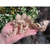 stegosaurus-3d-tisk-pla-material-dinosaurus-2