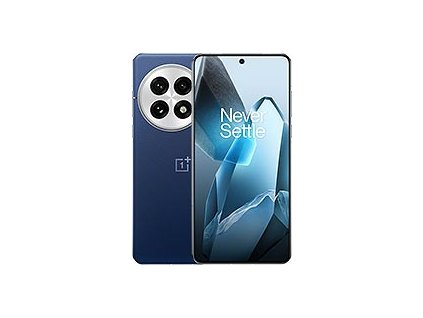 OnePlus 13