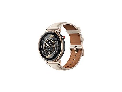 Honor Watch GS 5