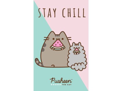 42121 detsky rucnik kocicka pusheen stay chill 30x50