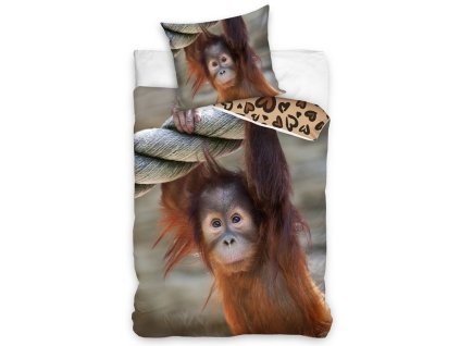 42079 bavlnene povleceni opice orangutan