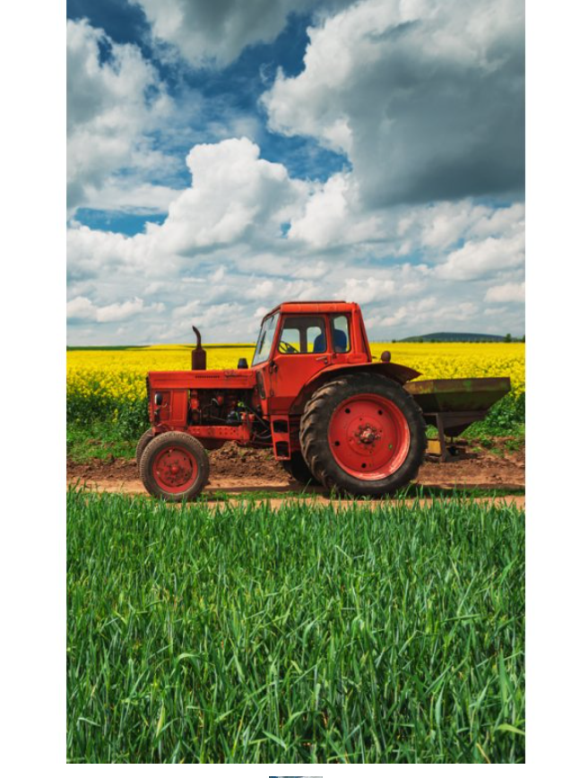 Levně Bavlněný froté ručníček 30x50 cm - Červený traktor
