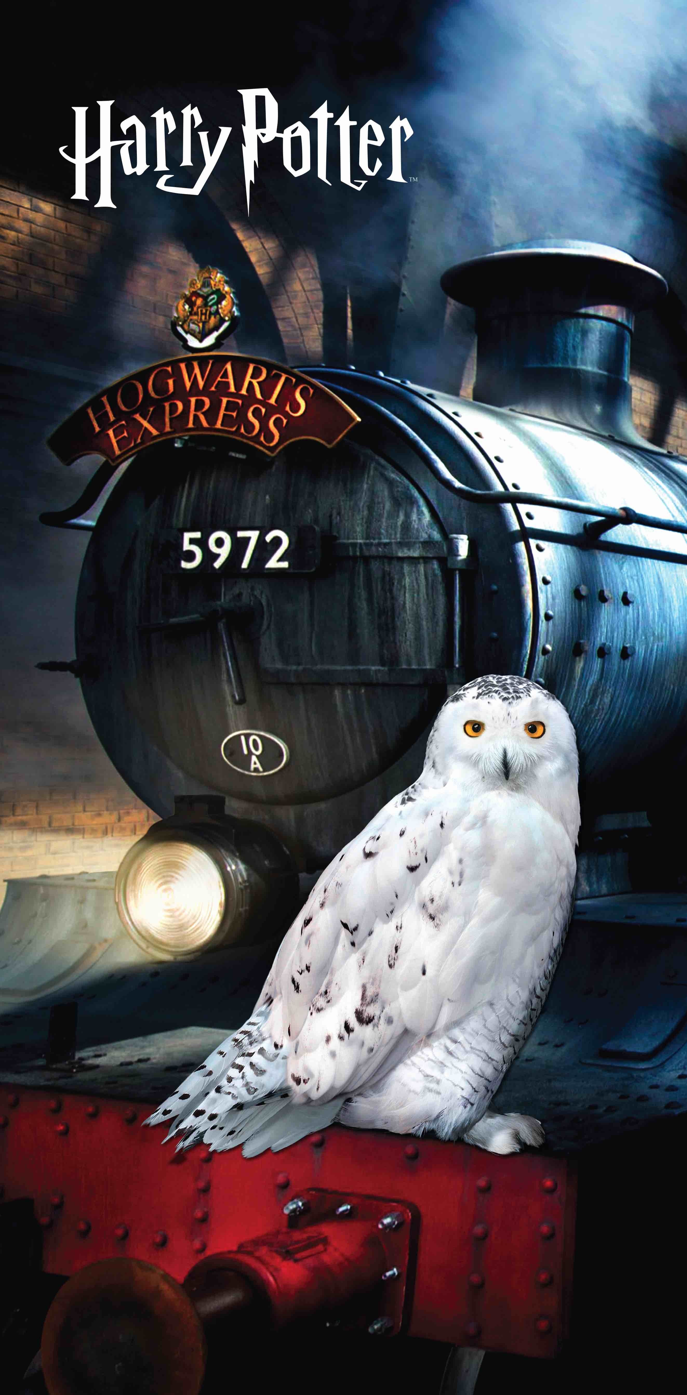 Levně Bavlněná froté osuška 70x140 cm - Harry Poter "Hedwig"