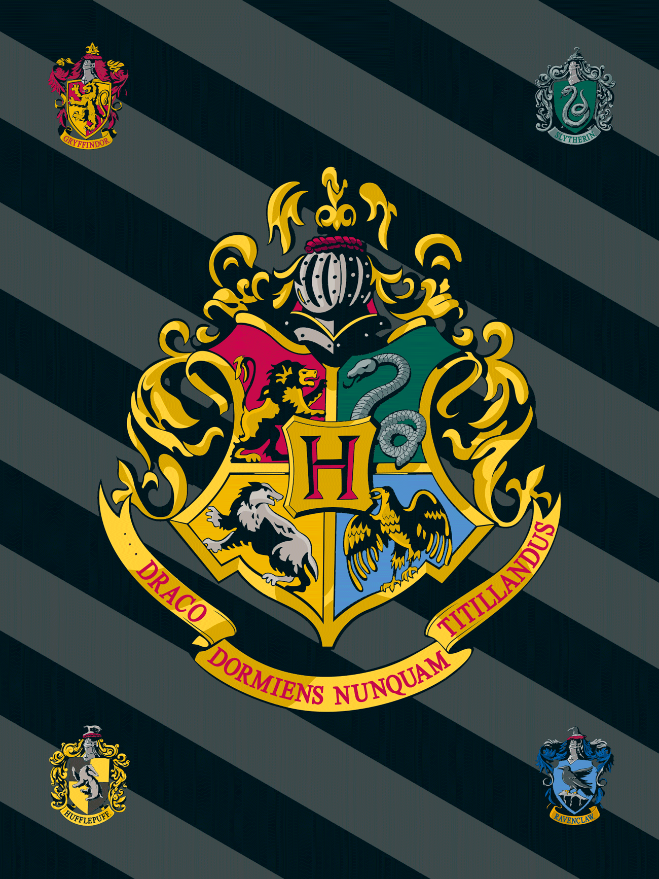 Jerry Fabrics Deka fleecová 100x150 cm - Harry Potter 