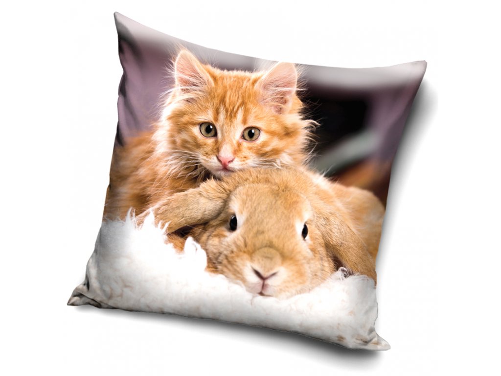 Levně Carbotex Povlak na polštářek 40x40 cm - Rezavé koťátko s králíčkem