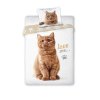 Bavlněné povlečení 140x200 + 70x90 cm - Zrzavý kocour