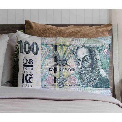 Polštářek Mikroplyš 100 Kč 2
