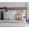 Polštářek Mikroplyš 50 € 2