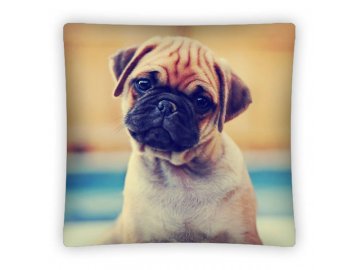 Povlak na polštářek Mops micro 40/40