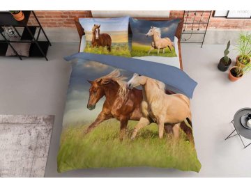 DETEXPOL Francouzské povlečení Koně Bavlna, 220/200, 2x70/80 cm