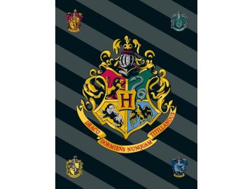 JERRY FABRICS Fleece deka Harry Potter HP067 Polyester, 100/150 cm