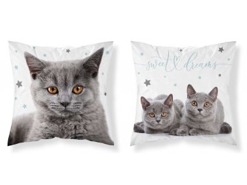 DETEXPOL Povlak na polštářek Kočka grey micro  Polyester, 40/40 cm