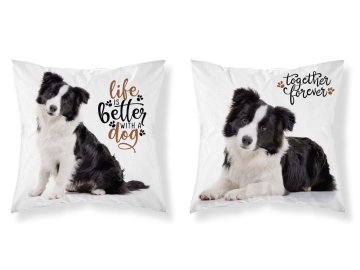 DETEXPOL Povlak na polštářek Border kolie micro  Polyester, 40/40 cm