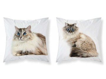 Povlak na polštářek Kočka modroočko micro  Polyester, 40x40 cm