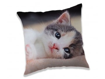 Povlak na polštářek Koťátko  Polyester, 40x40 cm