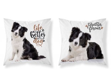 Povlak na polštářek Border kolie micro  Polyester, 40x40 cm