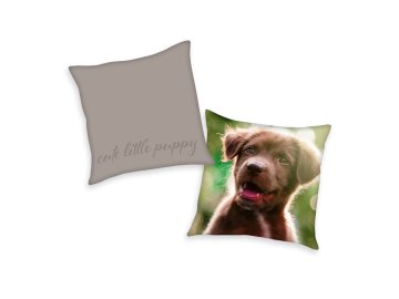 HERDING Polštářek Štěně  Polyester, 40/40  cm