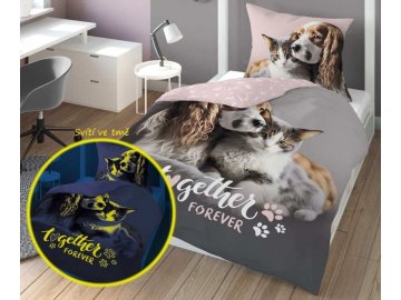 DETEXPOL Povlečení Přátelé navždy svítící  Bavlna, 140/200, 70/80 cm