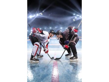 JERRY FABRICS Flece deka Hokej  Polyester, 100/150 cm