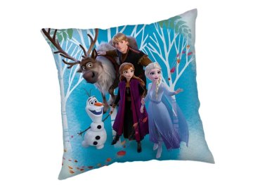 JERRY FABRICS Mikroplyšový povlak na polštářek Ledové Království 02 Family Polyester, 40/40 cm