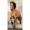 Osuška Hnědý kůň 70x140 cm