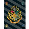 JERRY FABRICS Fleece deka Harry Potter HP067 Polyester, 100/150 cm