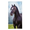 Osuška Kůň černý  Bavlna - Froté, 70x140 cm