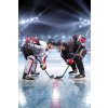 JERRY FABRICS Flece deka Hokej  Polyester, 100/150 cm