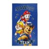 DETEXPOL Dětský ručník Paw Patrol Team  Bavlna - Froté, 50/30 cm