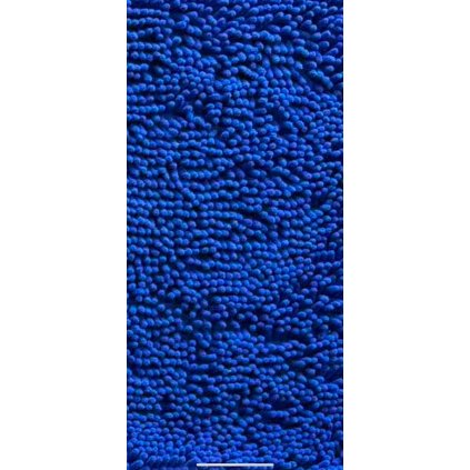 Koupelnová předložka 40x60 – protiskluzová chenilová savá rohožka, modrá