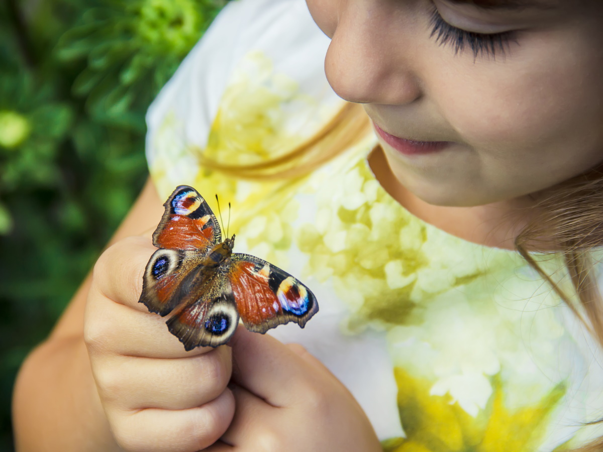 Hmyzí týden ve školce – tipy a náměty