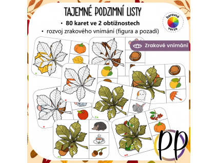 tajemne-podzimni-listy-podzim-pdf-aktivita-pro-deti-predskolaci-materska-skola-skolka-zrakove-vnimani-figura-pozadi