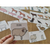 hospodarska-zvirata-zvireci-rodiny-pdf-aktivity-skladacky-tridilne-puzzle-materska-skola-samec-samice-mlade-ovce