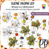 tajemne-podzimni-listy-podzim-pdf-aktivita-pro-deti-predskolaci-materska-skola-skolka-zrakove-vnimani-figura-pozadi