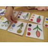 jarni-kvetiny-zrakove-vnimani-zrakova-percepce-rozdily-podobnosti-barvy-odstiny-puzzle-pdf-aktivita-k-tisku-materska-skola-skolka-predskolaci