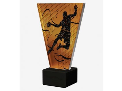 Designová skleněná trofej | Házená
