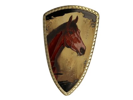 Zlatý plastový štít | Jezdectví