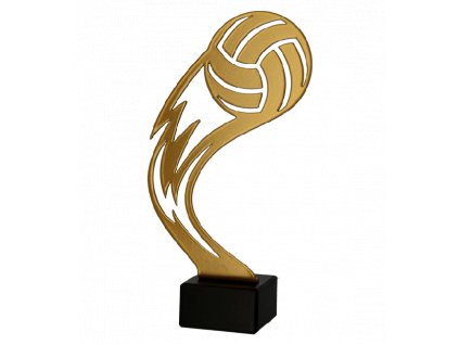 Zlatá kovová trofej | Volejbal
