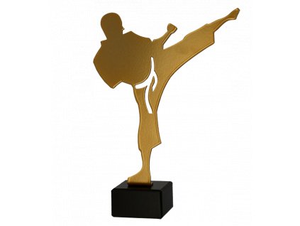 Zlatá kovová trofej | Karate