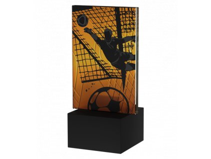 Designová skleněná trofej | Fotbalový brankář