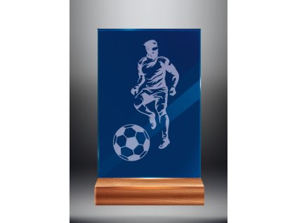 FOTBAL MODRA 5