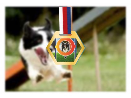 Vizuál agility G