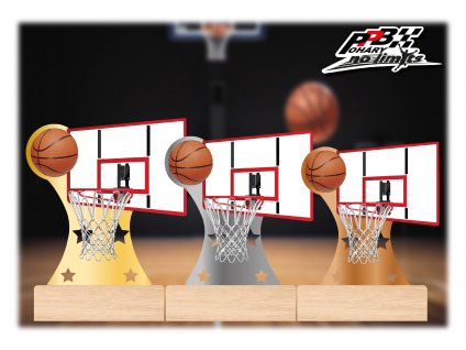 VIZUÁL BASKETBALL DŘEVO SADA