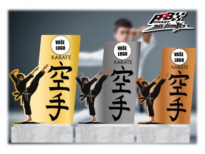 VIZUÁL KARATE KÁMEN SADA