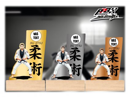 VIZUÁL JIU JITSU DŘEVO SADA