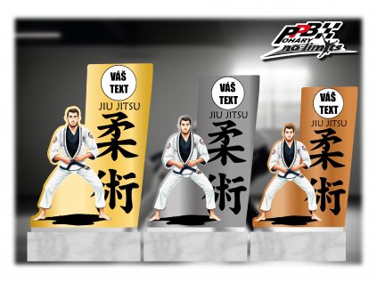 VIZUÁL JIU JITSU KÁMEN SADA