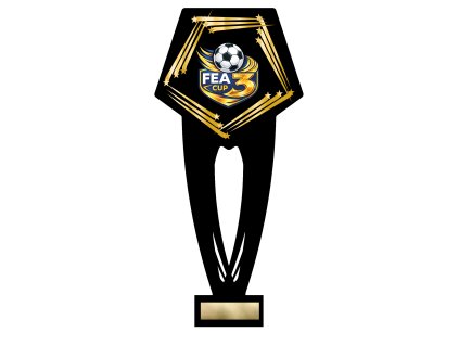 FEA3 2026 (1)